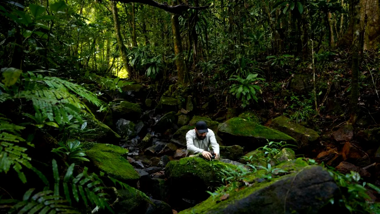 România intră în premieră pe harta globală a sunetelor naturii. Care sunt avantajele pentru economie