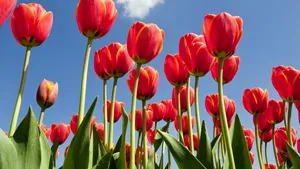 Cum va fi VREMEA până în luna iulie. Prognoza meteo şi HARTA meteorologilor