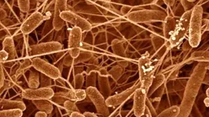 Electricitate produsă din ape uzate cu ajutorul bacteriilor