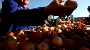 Toţi micii producătorii de legume, fructe, cereale şi material lemnos vor plăti impozit pe venit