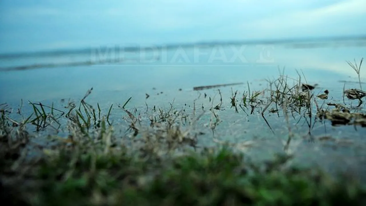 Cod portocaliu pe DUNĂRE. Pericol de inundaţie pentru trei judeţe. IMAGINI cu fluviul care a depăşit cotele de atenţie 
