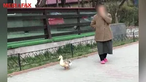 La plimbare cu raţa sau peştişorul. Unii români au profitat de permisiunea de a ieşi cu animalele de companie