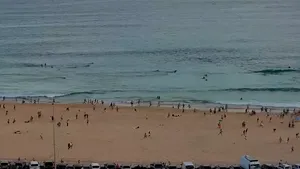 Un expert ONU critică declarațiile lui Netanyahu privind atacul armat de la Bondi Beach