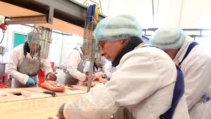 Prefect de Cluj: Există suspiciunea că bovina depistată cu encefalopatie ar proveni din satul Deuşu