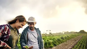 Inovând împreună cu natura: Un nou capitol în ameliorarea plantelor