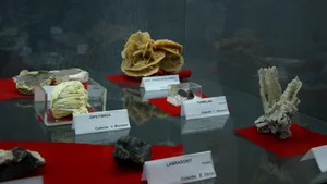 GALERIE FOTO Peste 100 de minerale din opt ţări şi insule, expuse la Muzeul din Alba Iulia