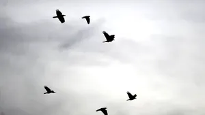 VREMEA se răceşte. PROGNOZA METEO pentru marţi şi miercuri