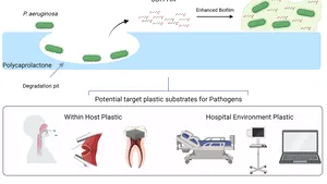 Un nou risc în spitale: superbacteria care „mănâncă” plastic