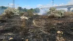 Incendiu puternic de vegetație în Vrancea. Flăcările au cuprins aproximativ 10 hectare, iar pompierii intervin cu mai multe autospeciale