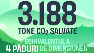 Peste 3000 de tone de CO2 salvate şi peste 200.000 de clienţi - Primii 3 ani de Flip.ro