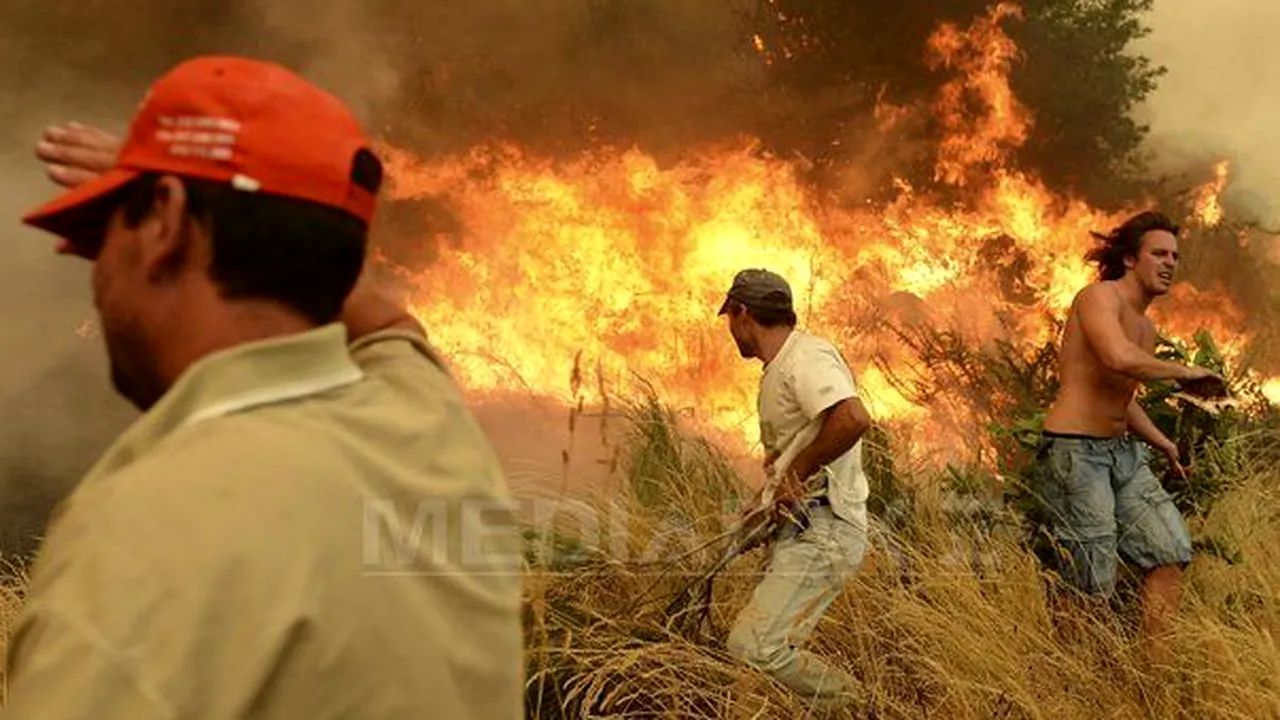 Incendii în California: Aproximativ 200.000 de persoane au primit ordine de evacuare după ce focul s-a extins masiv/ Autostrăzi şi şcoli, închise