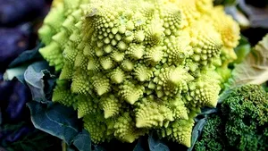 Te-ai săturat de obişnuitele legume româneşti? GALERIE FOTO cu LEGUME de care probabil nu ai auzit niciodată