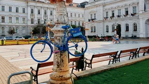 CAMPANIE de promovare a mersului pe două roţi: Centrul Aradului, împânzit de biciclete decorative agăţate de stâlpi şi copaci - GALERIE FOTO