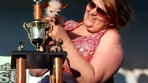 Cum arată cel mai urât câine din lume - FOTO, VIDEO