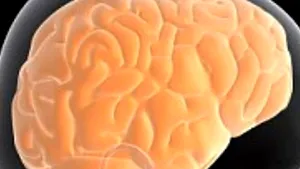 Leptina, hormonul apetitului, benefică în prevenirea maladiei Alzheimer