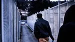Rute ilegale pentru a aduce migranți în Spania, cu promisiunea regularizării: ce au descoperit polițiștii