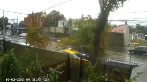 Momentul în care un copac este doborât de vânt peste mașini aflate în mers, în București