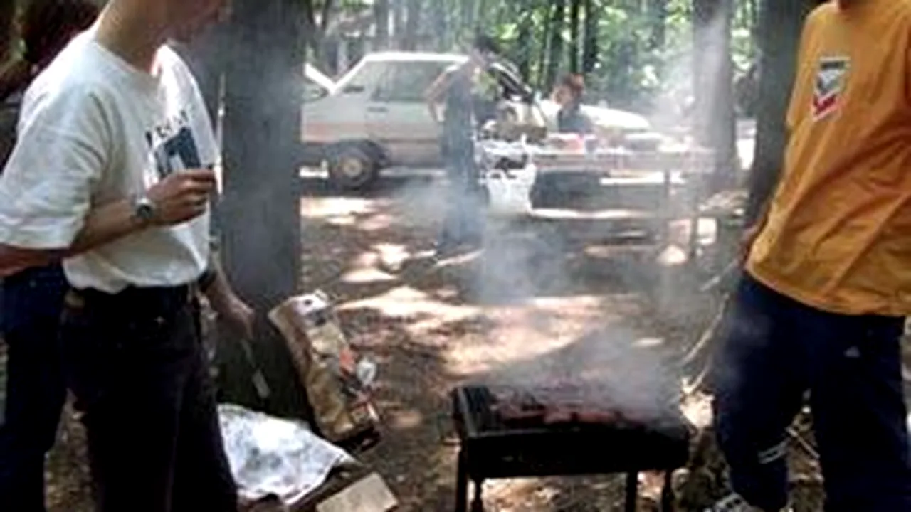 Romanian Environment Min Drafts Picnic Area Law