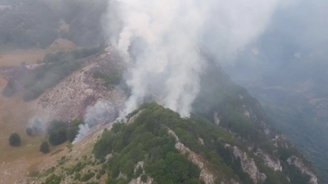 Un nou incendiu a izbucnit în Parcul Domogled, în aceeaşi zonă ca cel din iulie