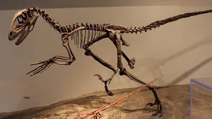 Fosilele unui dinozaur care a inspirat „Jurassic Park” s-au vândut cu peste 12 milioane de dolari