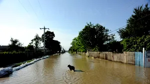 Aproape 90 de gospodării şi peste 20 de locuinţe, afectate de inundaţii în ultimele 24 de ore