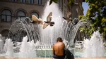 Caniculă în toată țara. 15 județe și Capitala, sub Cod roșu. Temperaturile urcă până la 41 de grade