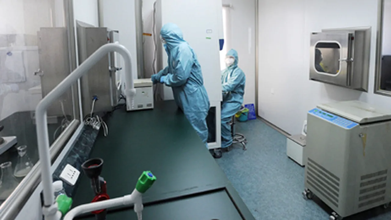Virusul gripei porcine a contaminat 8.829 de persoane din 40 de ţări