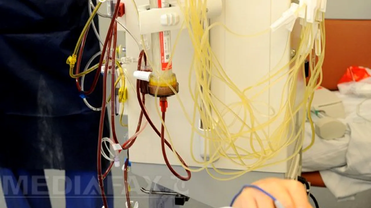 Bacteria E.coli care afectează Germania a ajuns şi în Suedia: aproximativ 40 de cazuri de contaminare, dintre care 15 grave