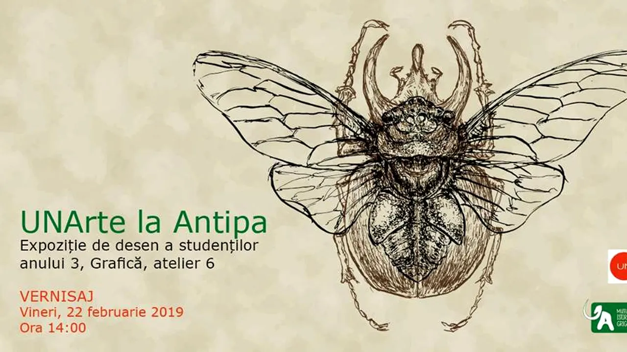 Vernisaj de grafică, la Muzeul Antipa: Natura, în cele mai fine detalii şi întruchipări
