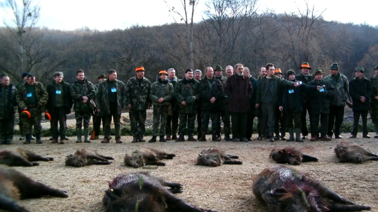 Peste 100 de mistreţi, împuşcaţi la vânătoarea de la Balc - VIDEO