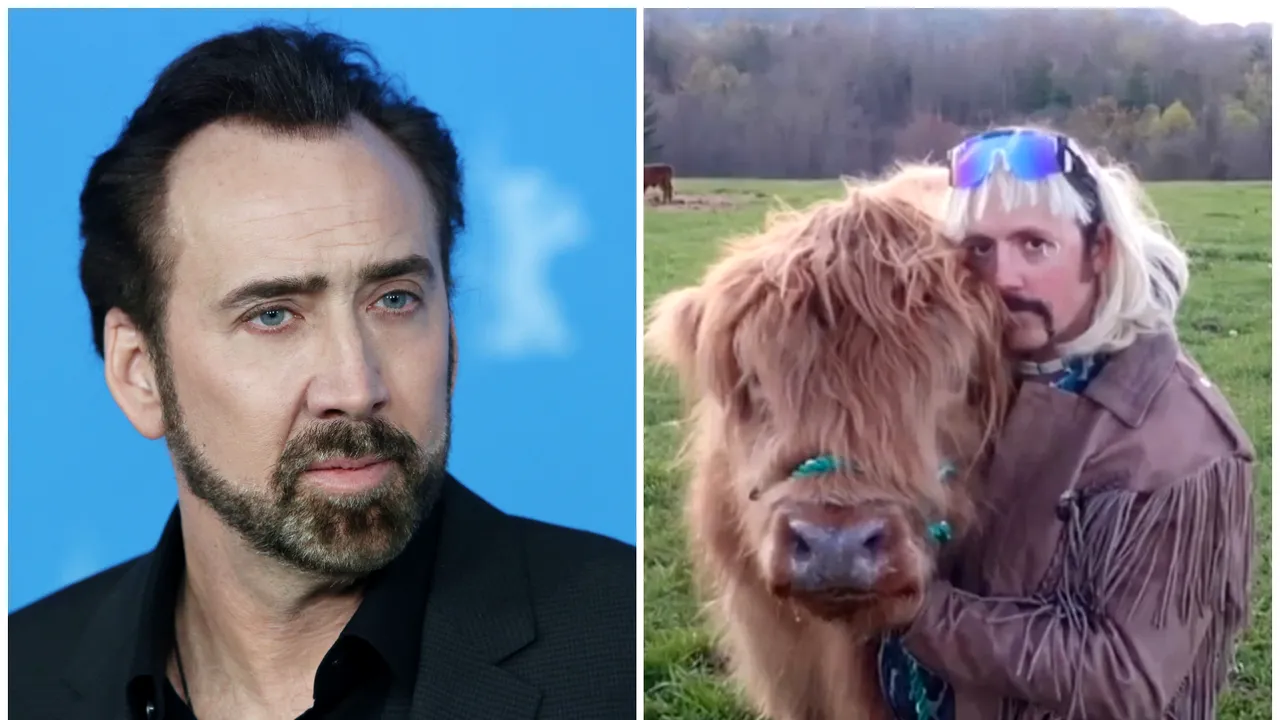 Nicolas Cage devine 
