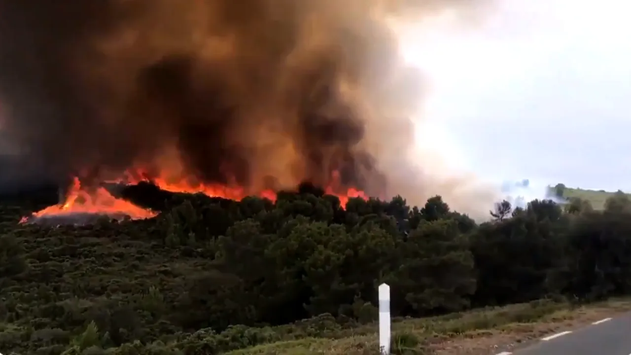VIDEO Incendiu puternic de vegetaţie în Franţa. Au ars peste 100 de hectare