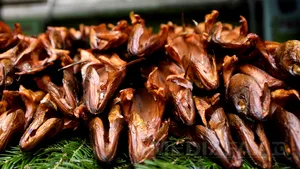 Suceava: Afinată, păstrăvi, preparate din carne şi calendare, MITA oferită unui director din Ministerul Agriculturii