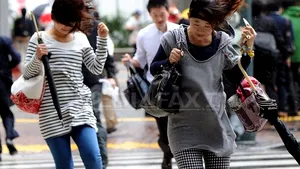 Japonia, traversată de taifunul Wipha: Cel puţin 13 persoane au murit - FOTO 