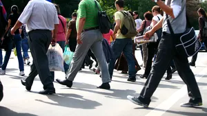 Angajaţii part-time au TAXELE mai mari ca veniturile/ Olguţa Vasilescu: La următoarea şedinţă de Guvern vom rezolva problema 