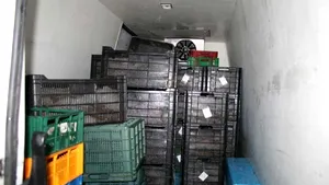 Constanţa: Poliţiştii de frontieră au capturat aproape trei tone de calcan fără documente - FOTO