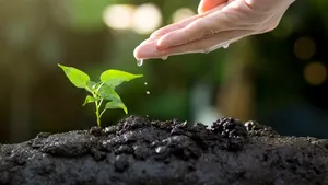 Ziua Mondială a Mediului, celebrată joi. Ediția de anul acesta îndeamnă la combaterea poluării cu plastic