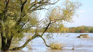 COD GALBEN de inundaţii în 26 de judeţe