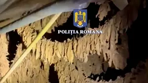 Peste 8,5 tone de tutun confiscate de Poliţia Capitalei