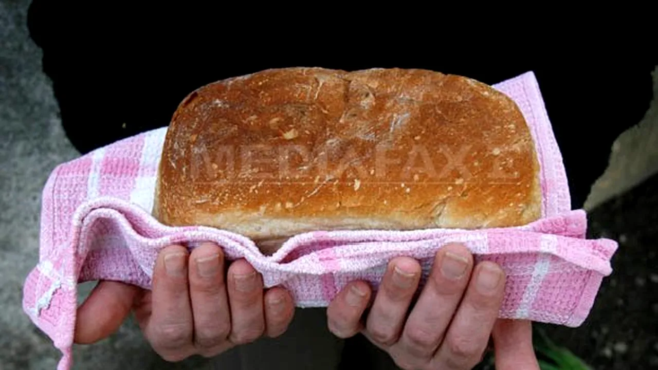 De ce îngraşă pâinea. Care este cea mai bună pentru organism