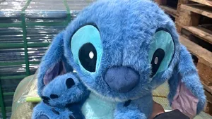 Captură în Portul Constanța: mii de jucării și genți posibil contrafăcute, ridicate de polițiști