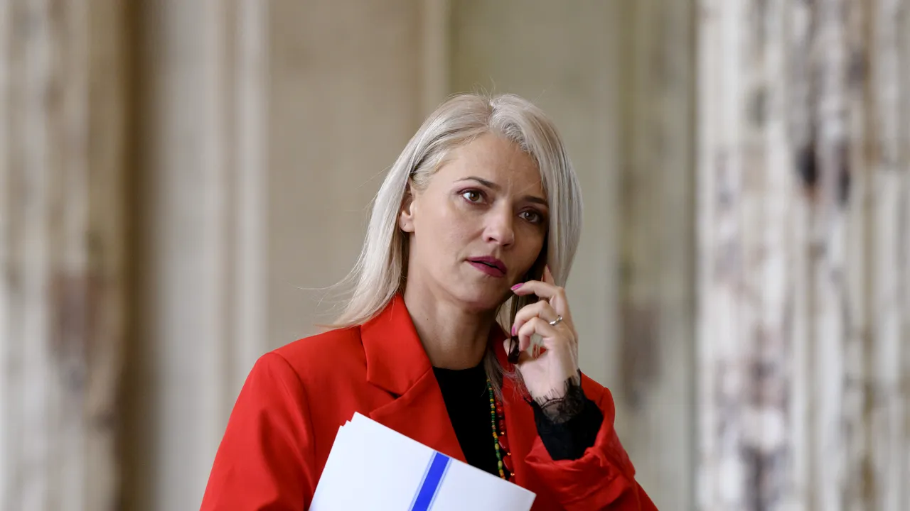 Alina Gorghiu, la Consiliul JAI: Fără o cooperare strânsă e dificil să prinzi traficanţii de droguri