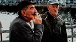 Fumatul pasiv, mai toxic decât fumul activ? Ce este fumul secundar și de ce ne afectează sănătatea