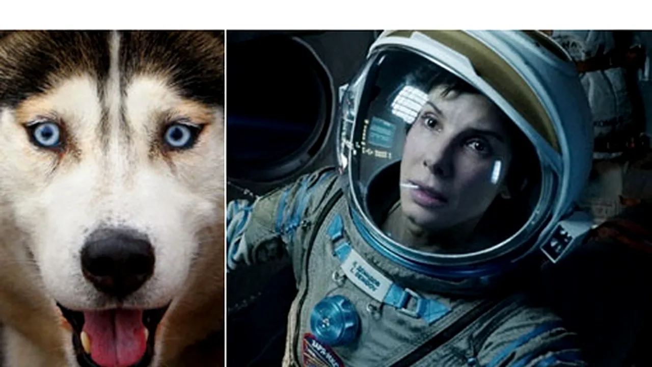 Câinele din filmul 