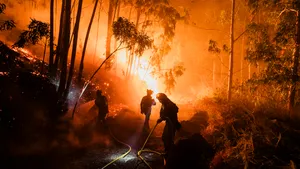 Spania: Incendiile de vegetație au ars aproximativ 50.000 de hectare de teren în ultimul an
