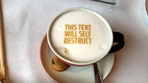 Ambasada Olandei îl ironizează pe ministrul Tudorel Toader: Acest mesaj se va autodistruge 