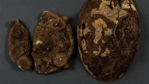 Descoperire neaşteptată făcută de o familie din Norvegia. Căutau un cercel pierdut, dar au găsit o comoară vikingă