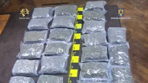 Un traficant a fost prins când ridica un colet cu 10 kg. de canabis, expediat din Spania