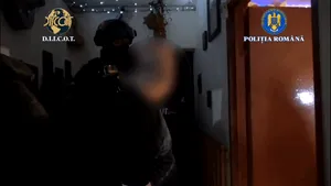 Grupare care falsifica acte și documente oficiale, destructurată în Covasna