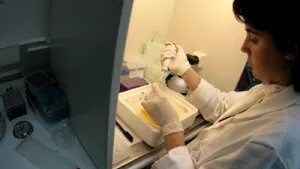 DNA Tests Don’t Incriminate Romanian Suspects Accused Of Rape In Rome